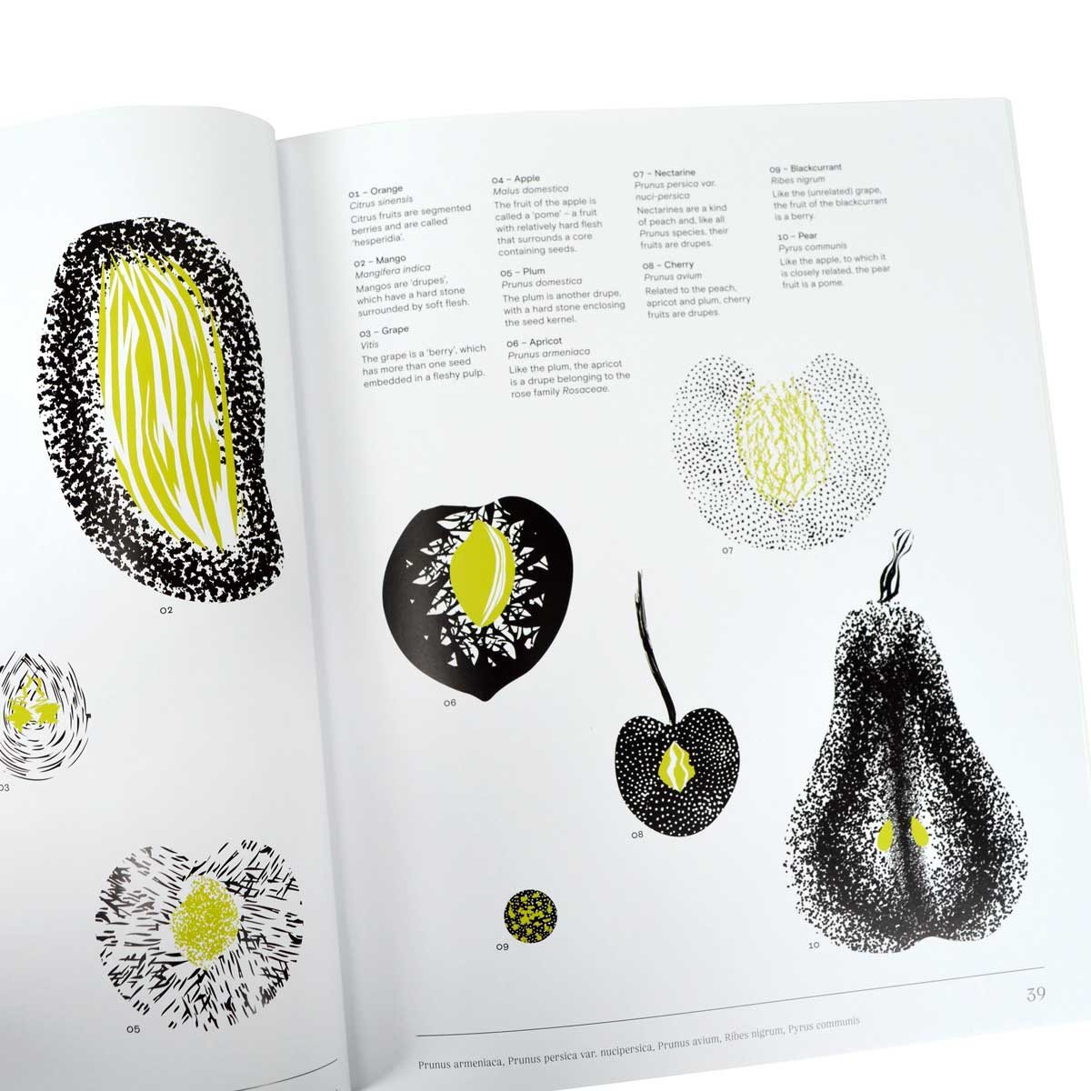 Trees: From Root to Leaf - A Financial Times Book of the Year (Hardback)