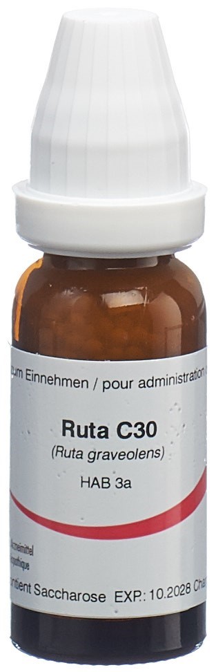 Omida Ruta Glob 30 C 14 g