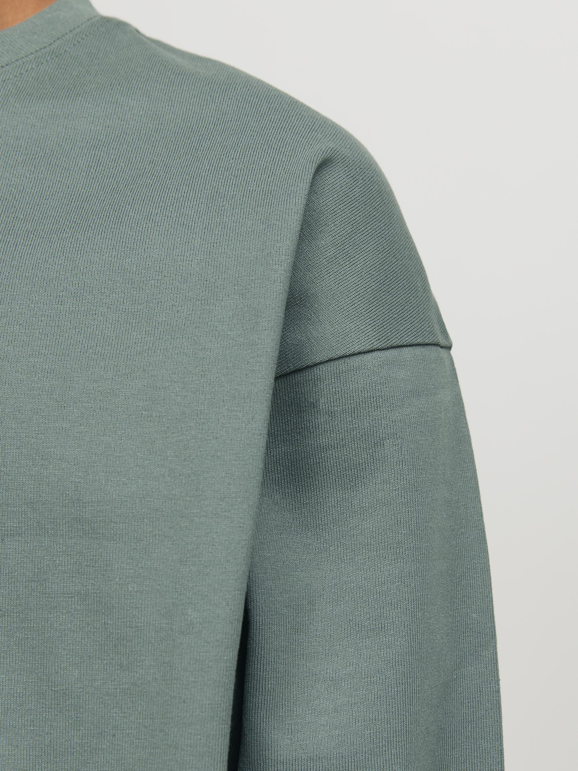 Langarmshirt JORVESTERBRO in laurel wreath