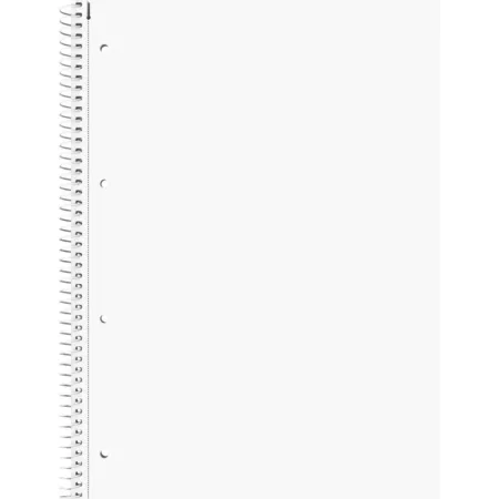 BRUNNEN Collegeblock A4, 80 Blatt, gelocht, blanko