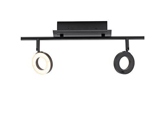 Paul Neuhaus LED-Deckenleuchte »Sileda«, klein