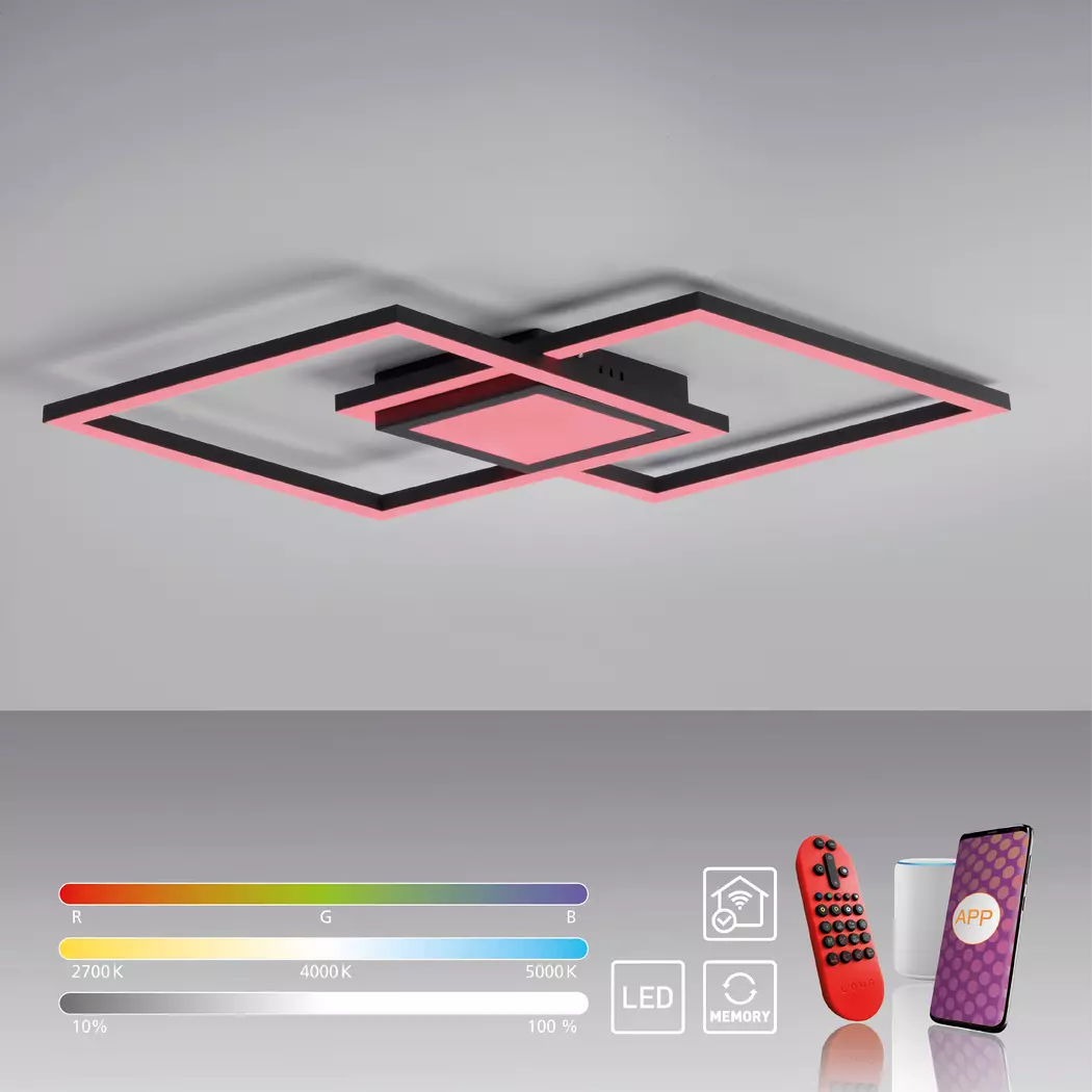 LED-Deckenleuchte LS-Asmin