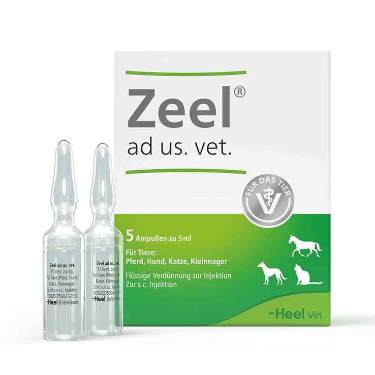 Zeel Ampullen vet. (für Tiere), 5X5 ml