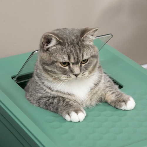 Caixa de areia dobrável para gatos PawHut