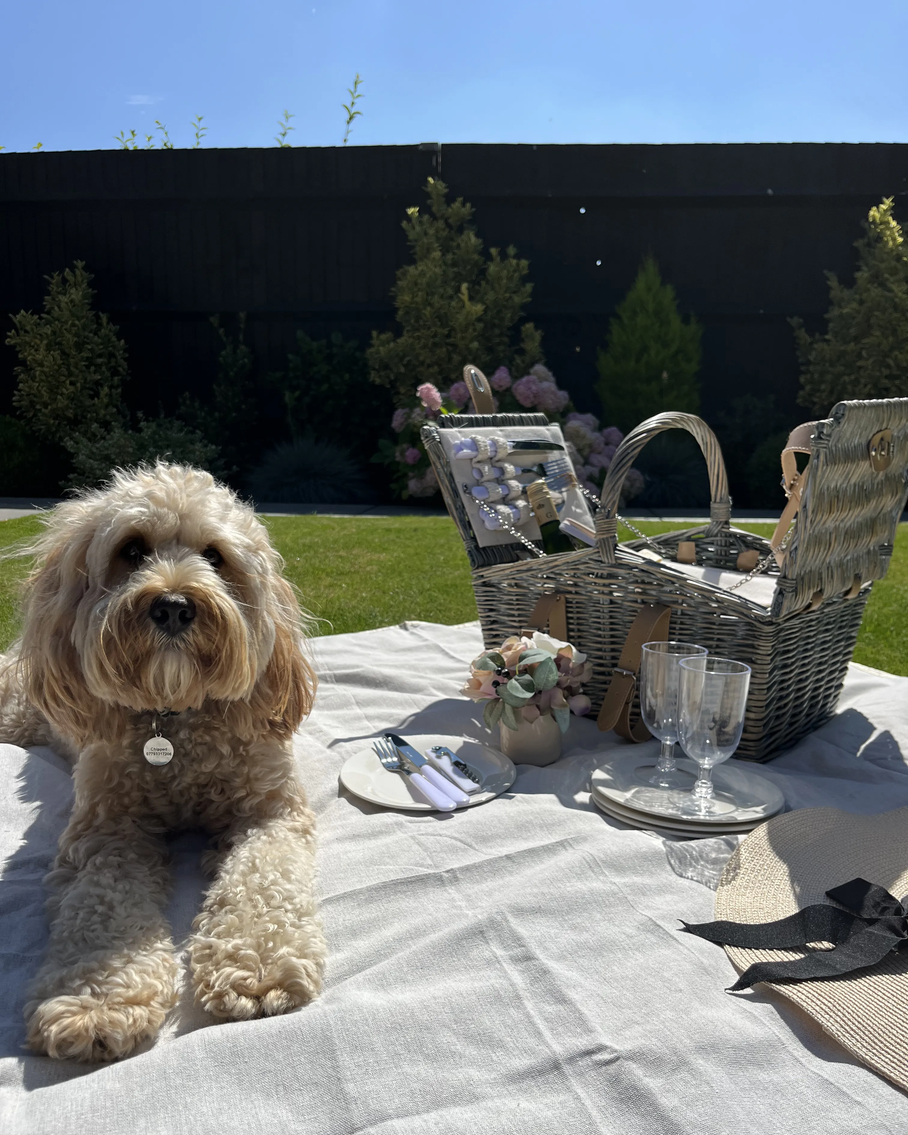 Picknickmand CANELE Wicker Bruin