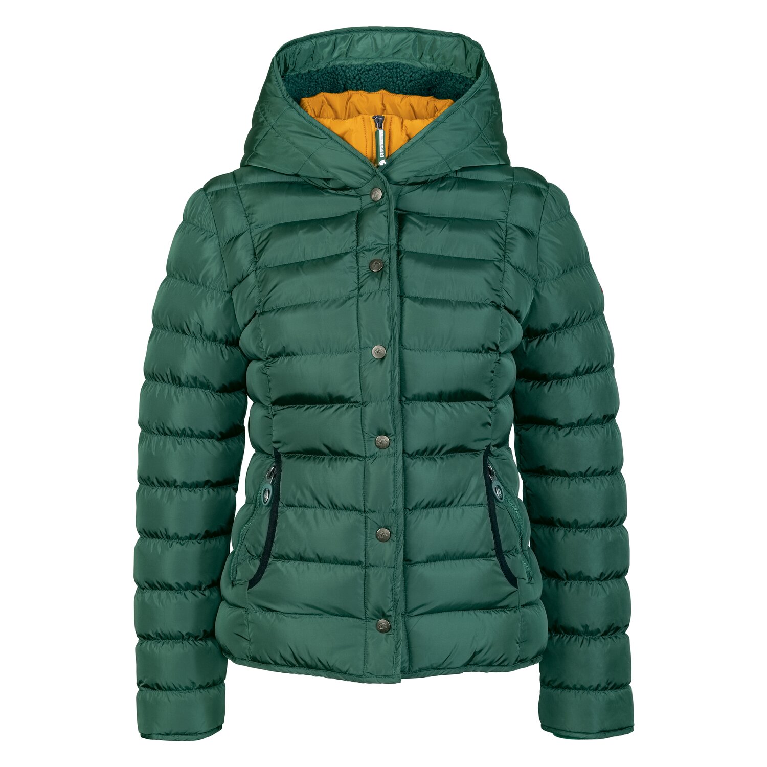black forest Steppjacke mit Kapuze  - race green - XS