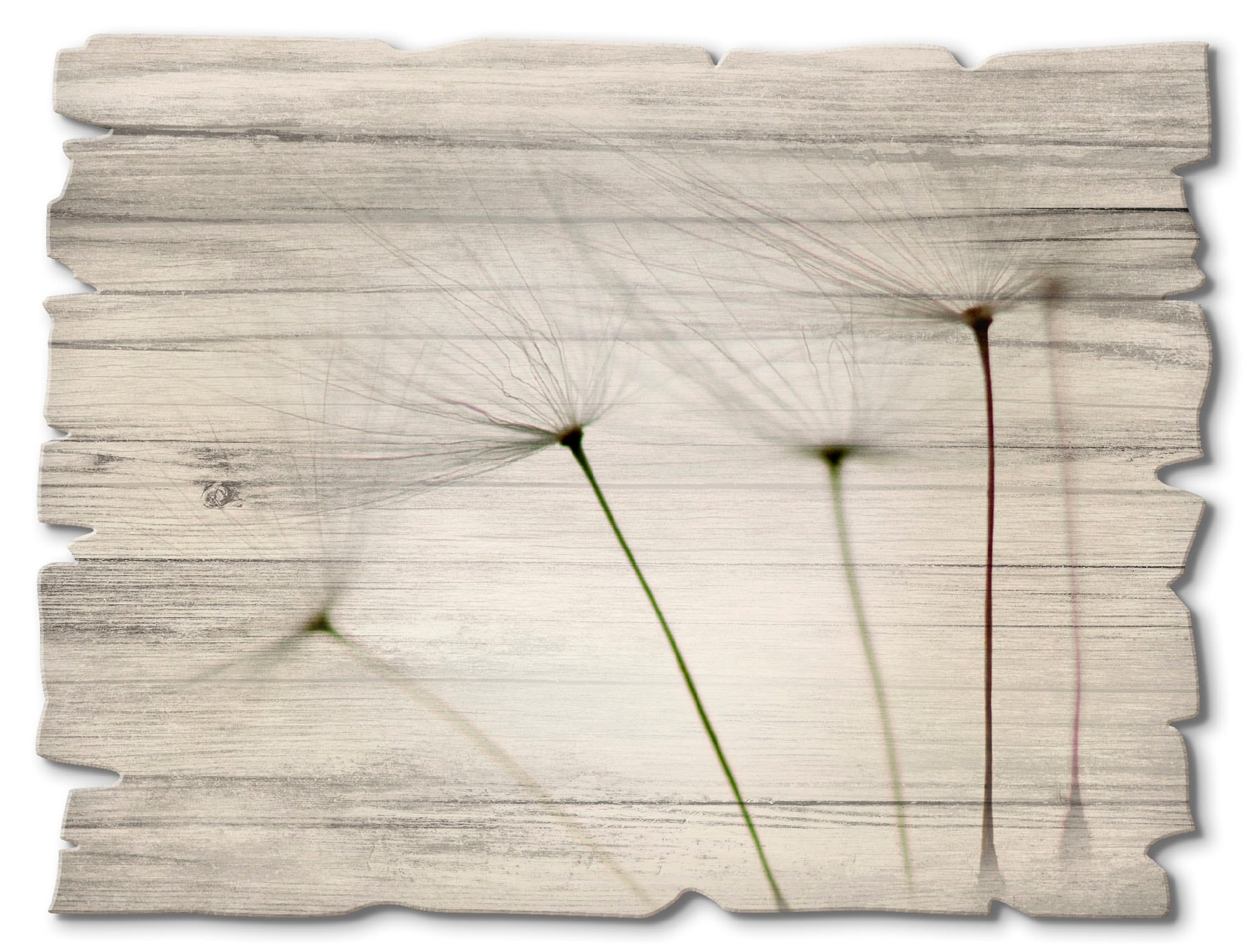 Artland Holzbild »Pusteblumen-Samen I« Blumen 1 Stk. tlg.