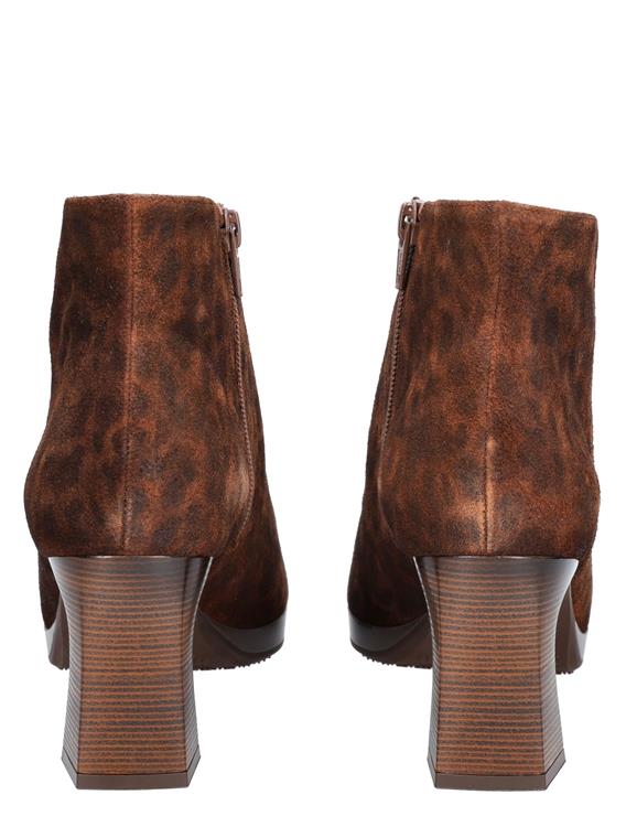 Hispanitas HI254270 Leopard Leopard I25 Avellana