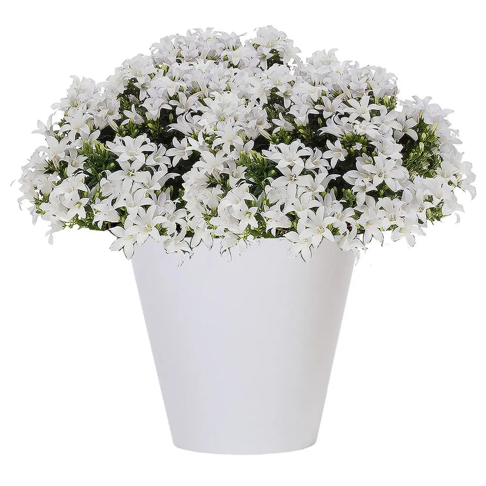 Prosperplast plantenpot - kunststof - brons - D40 x H37 cm