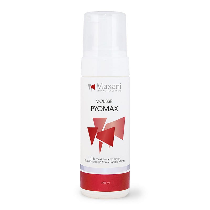 Maxani PyoMax Mousse Hond Kat Paard 150 ml | 12742