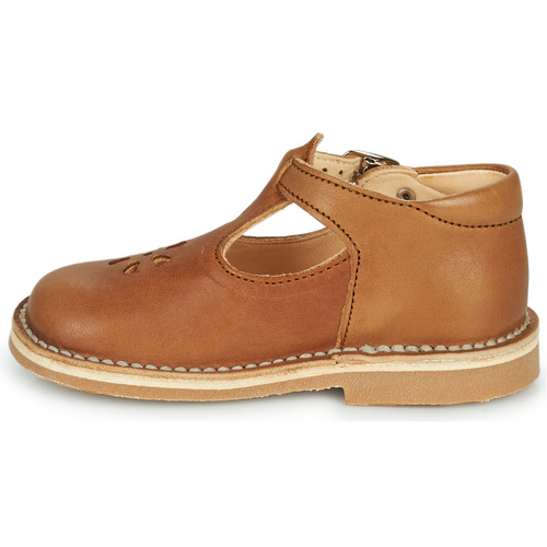 Aster - BIMBO - Cognac