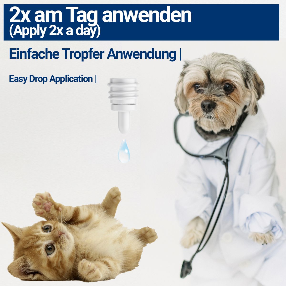 BMUT Augentropfen für Hunde & Katzen mit kolloidalem Silber