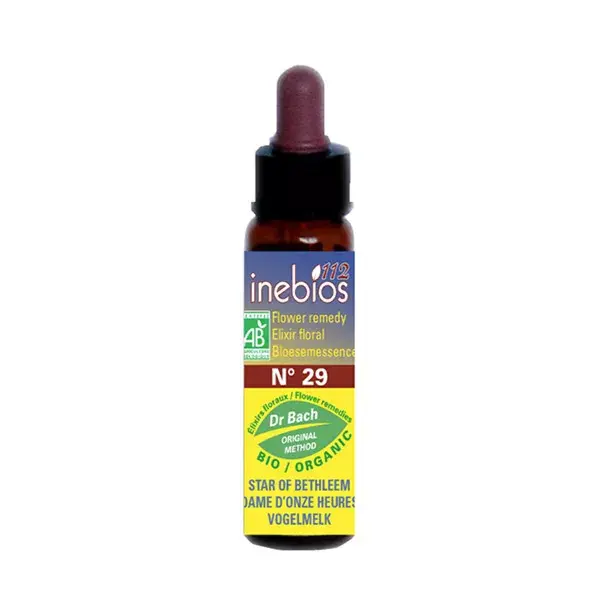 Florais de Bach Inebios nº 29 Estrela de Belém - Nossa Senhora das Onze Horas Orgânico 10ml