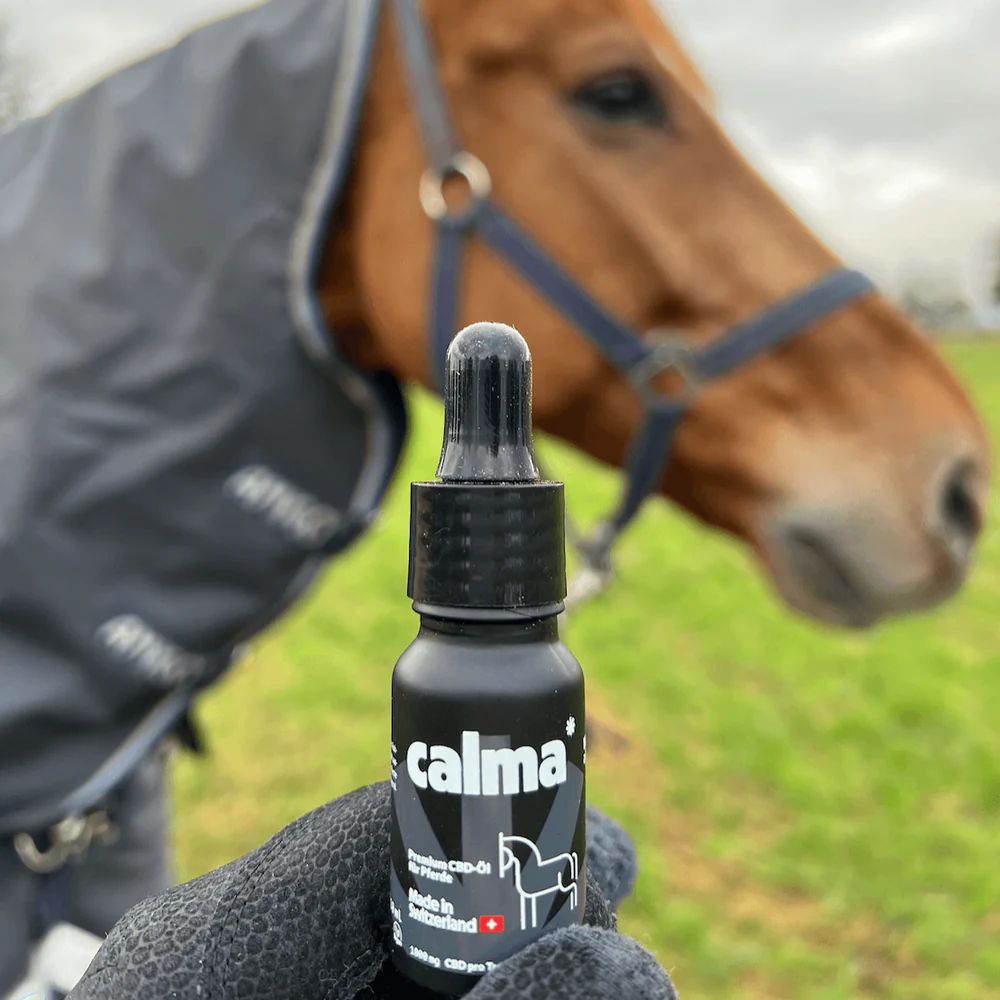 CALMA CBD Öl für Pferde