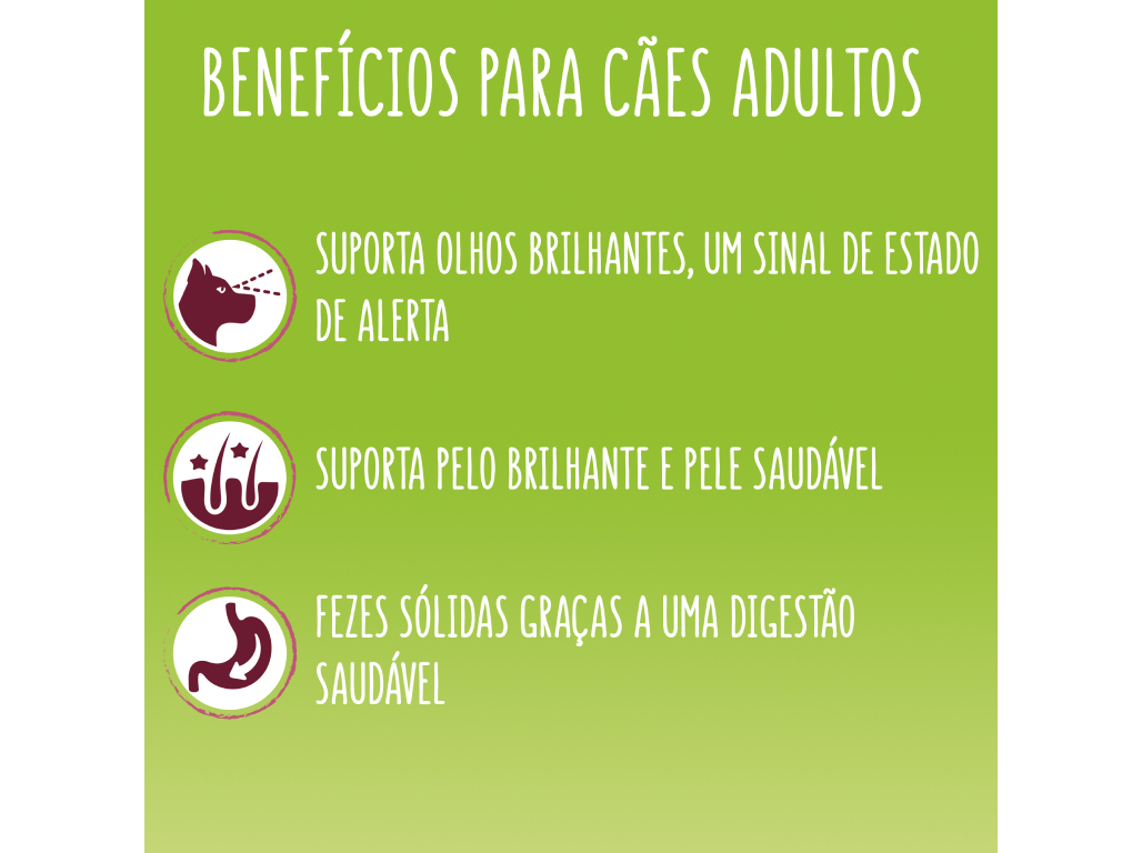 RAÇÃO PARA CÃO FRISKIES MINI MENU NUTRI SOFT COM VACA 1.4KG