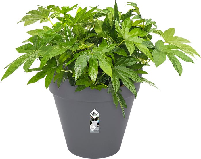 Elho bloempot Loft Urban antraciet D 48,5 H 44,5 cm