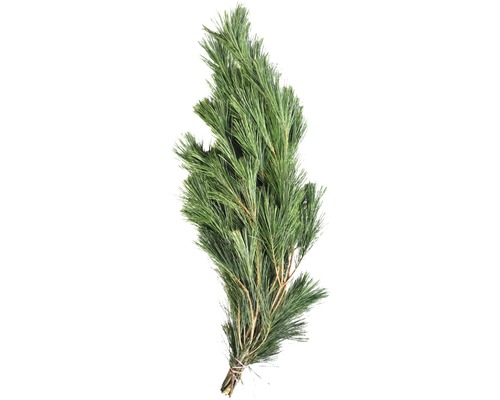 Zijden dennentakken, gesneden groen, handgebonden bos ca. 0,5 kg