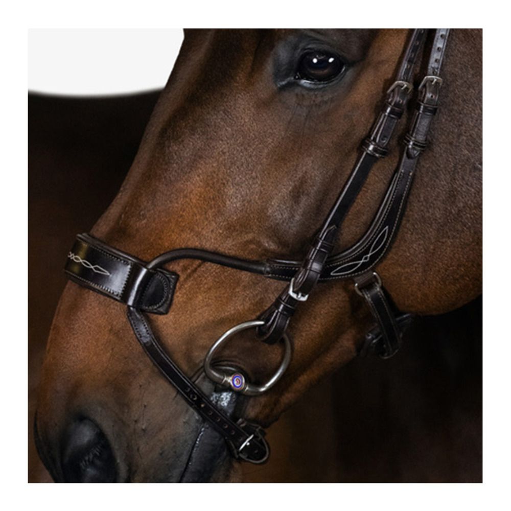 PS of Sweden HIGH JUMP - Bridon brown leather