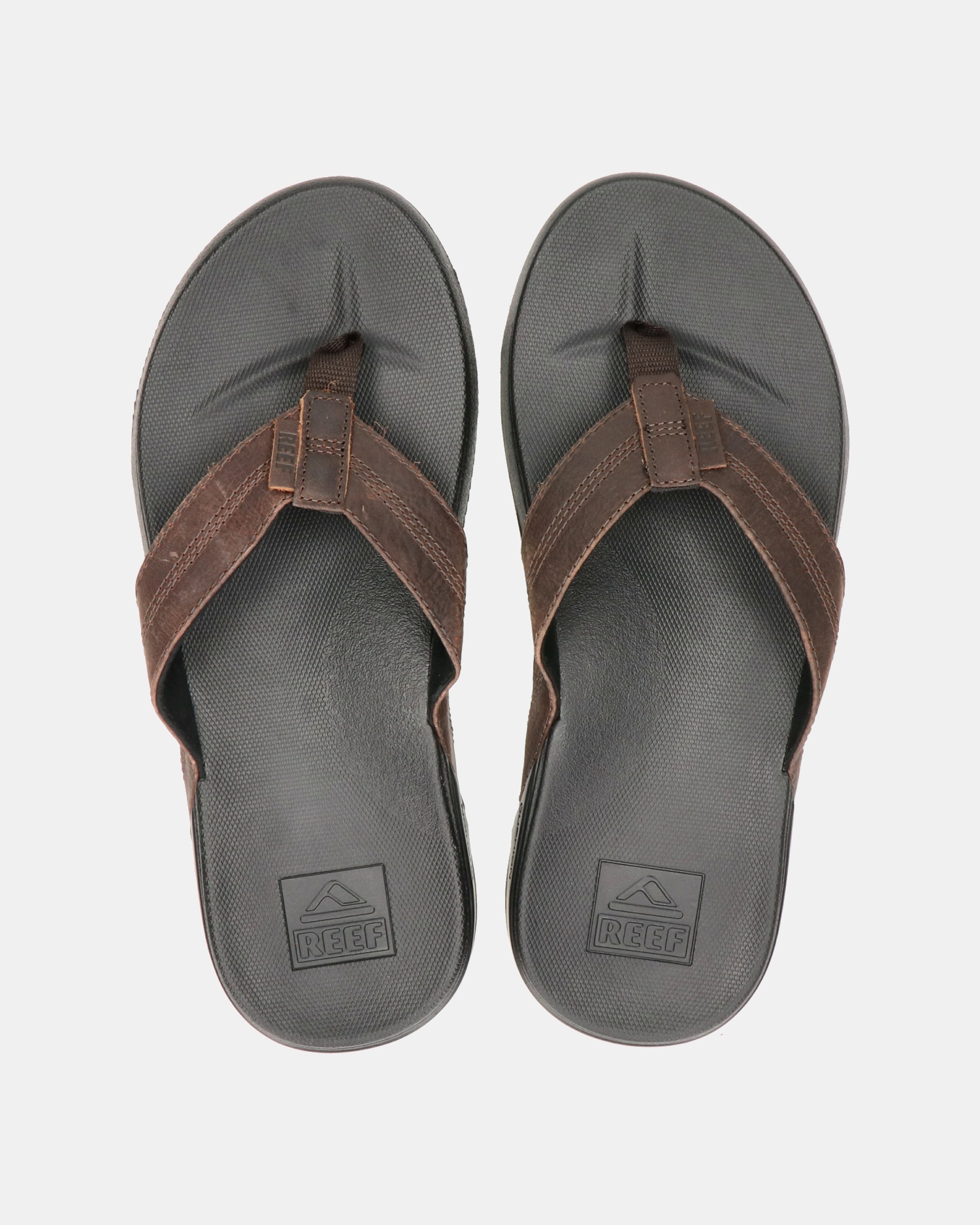 Reef Cushion Bounce Phant Slippers  - bruin