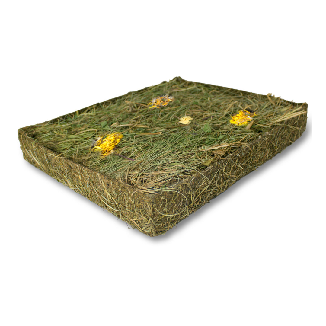 Tapis à creuser herbes de prairie et pissenlits