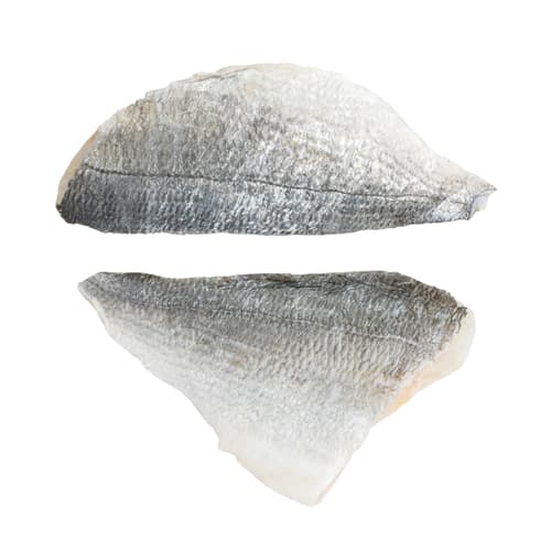FJORU ASC Dorade / Goldbrasse Filet mit Haut