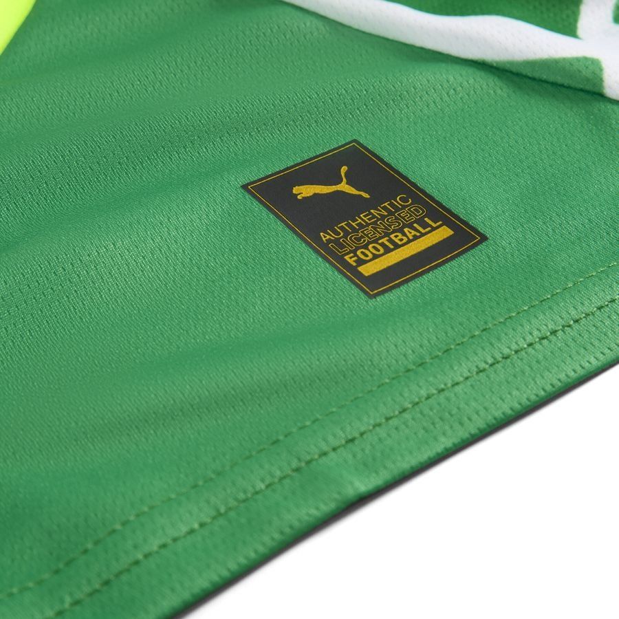 Puma Manchester City 24/25 Torwarttrikot