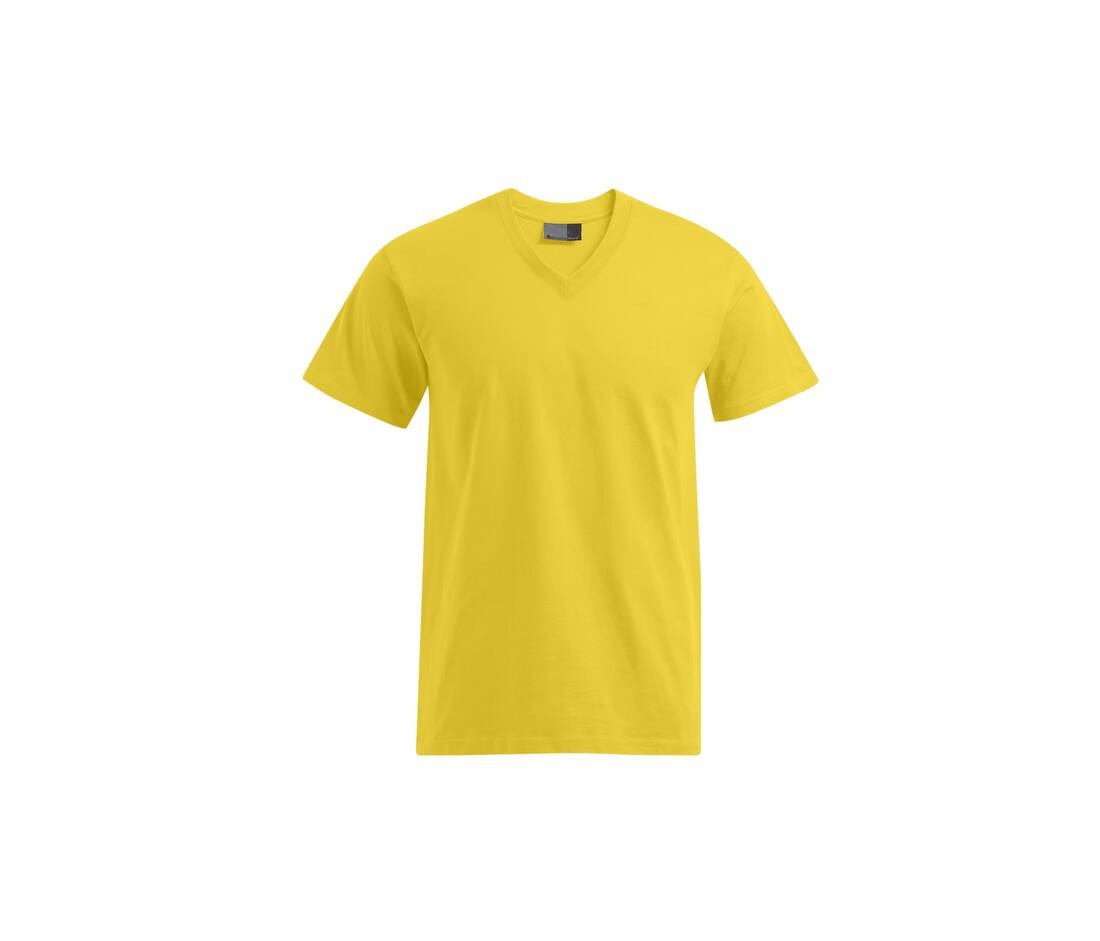 PROMODORO PM3025 - T-shirt Homme Élégant à Col V Promodoro