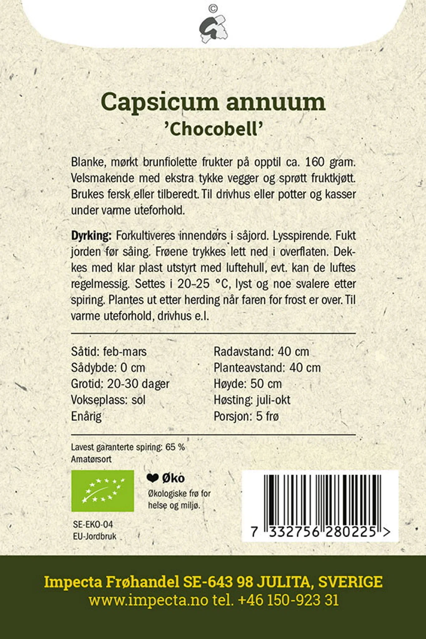 Capsicum annuum 'Chocobell' Paprika 'Chocobell'