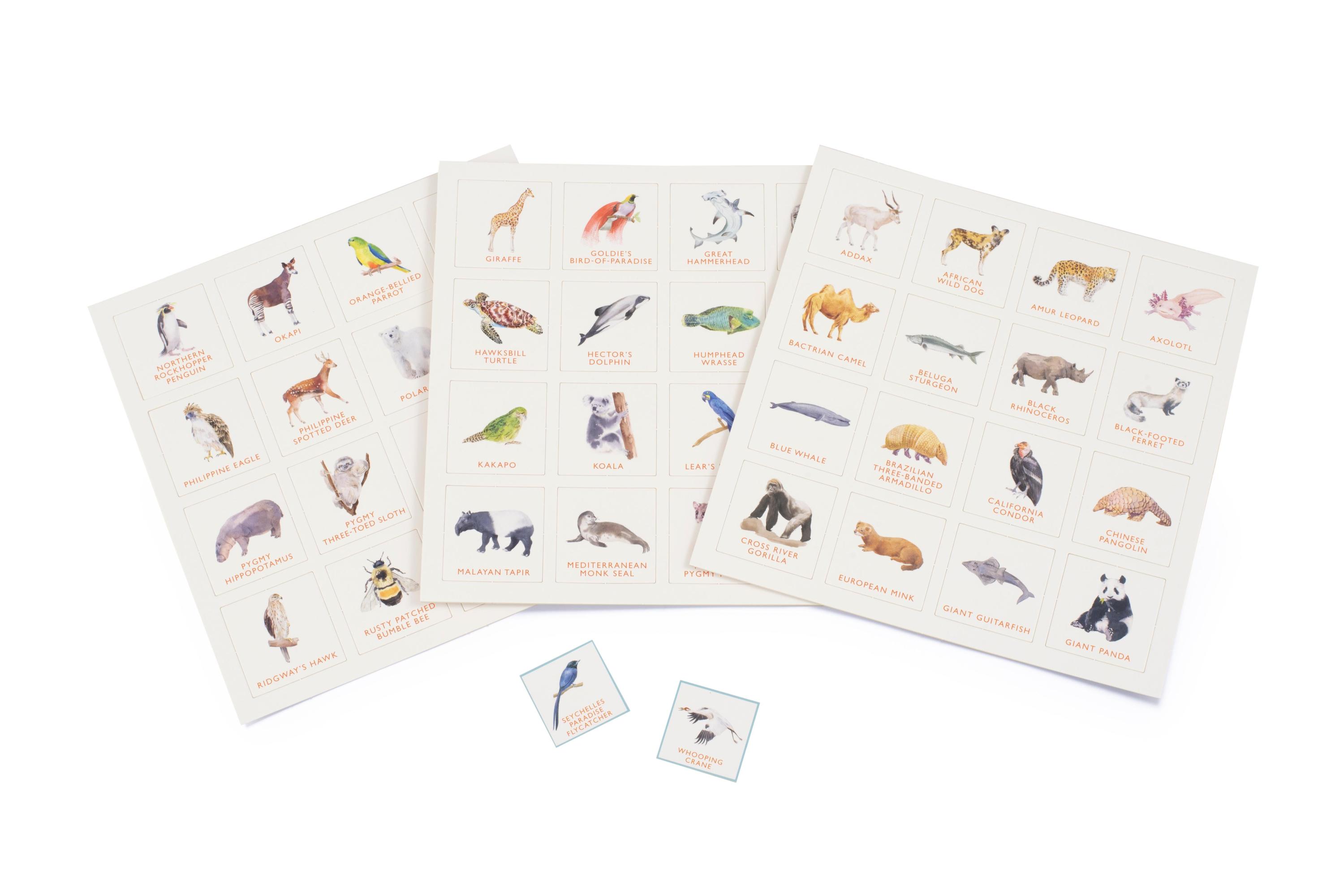 Endangered Animals Bingo