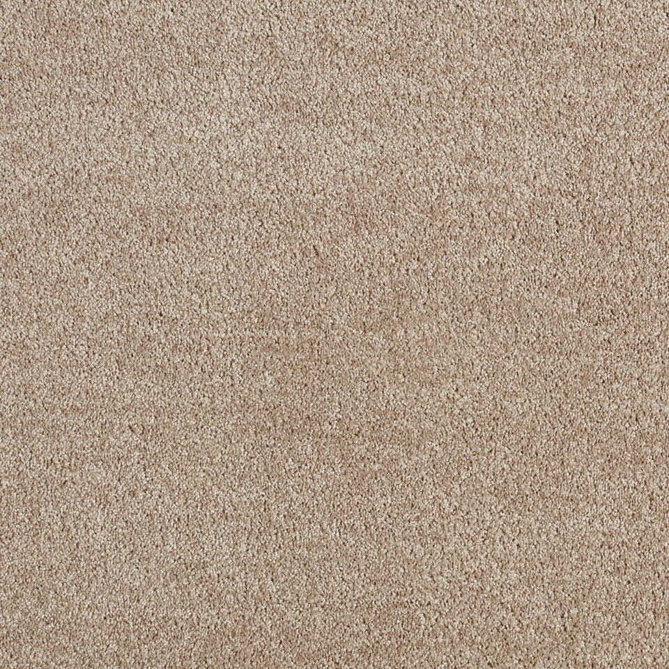Staal Tapijt Chard Beige