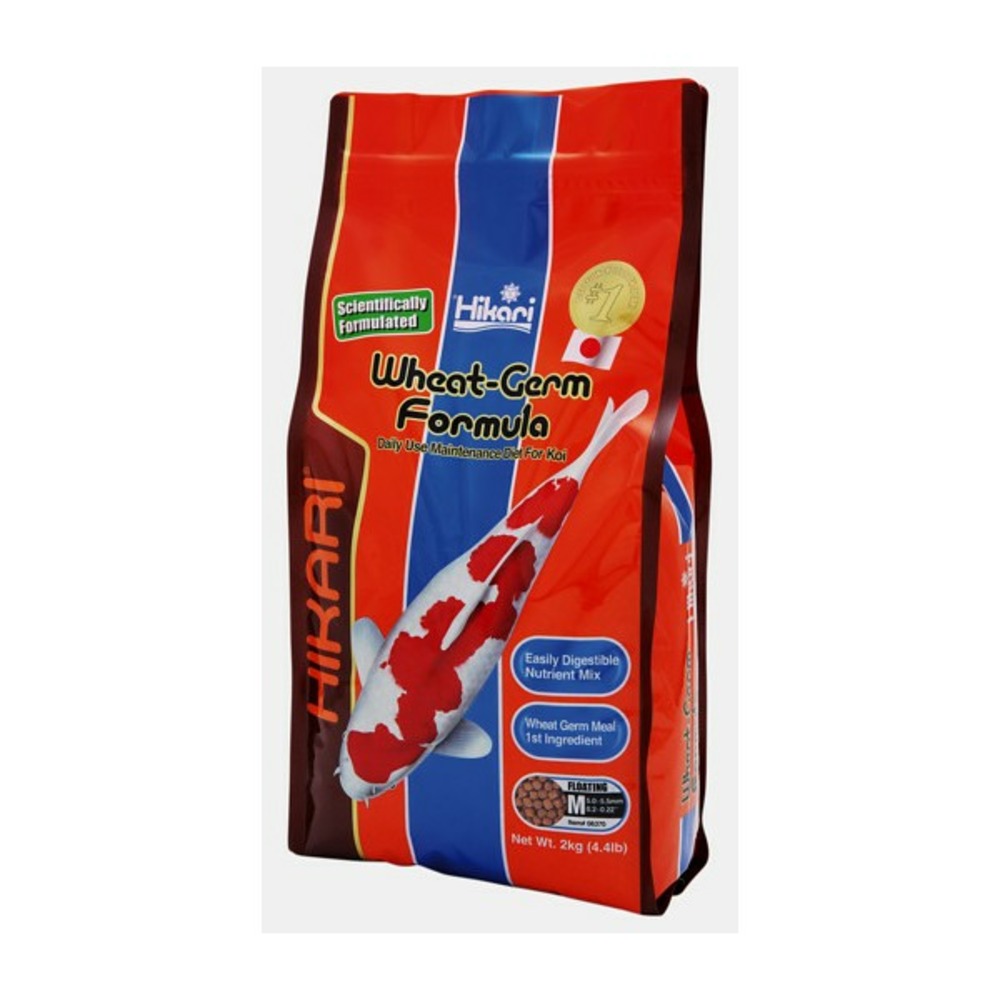 Hikari wheat germ 2kg medium