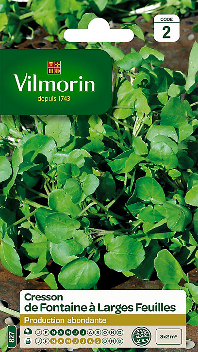 Graines de Cresson de Fontaine à Larges Feuilles Vilmorin