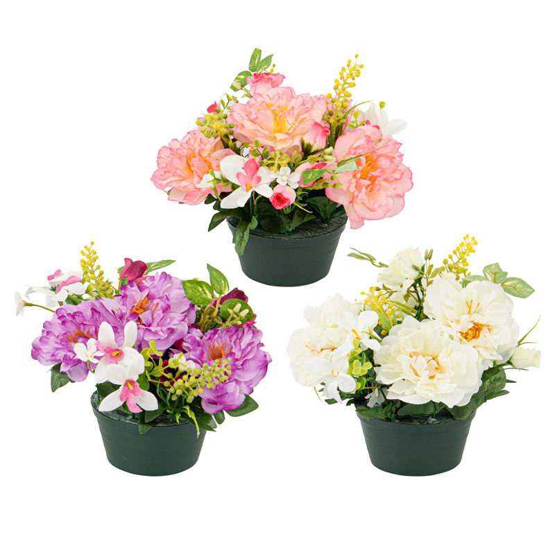 Petite coupe de pivoines orchidées rosettes