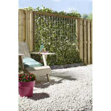 Gaaspaneel Exclusive vuren 180 x 180 cm