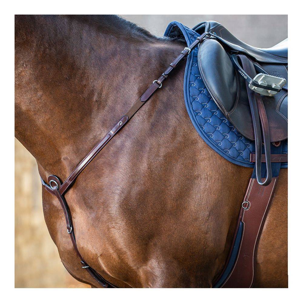 Dy'on NEW ENGLISH COLLECTION - Collier de chasse brun
