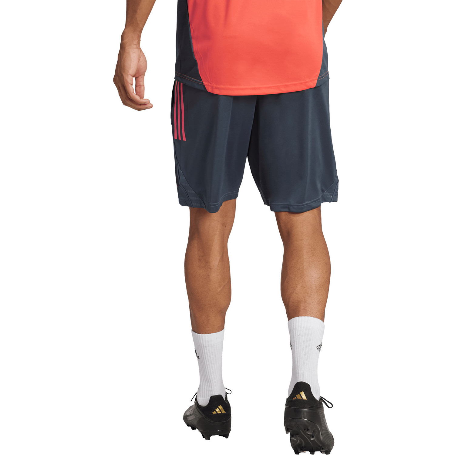 adidas Bayern München Training Short 2025/2026