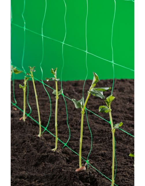 Nature Klim- Groei- En Geleidenet - Klim-En Geleide Artikel - 10x1 m Groen