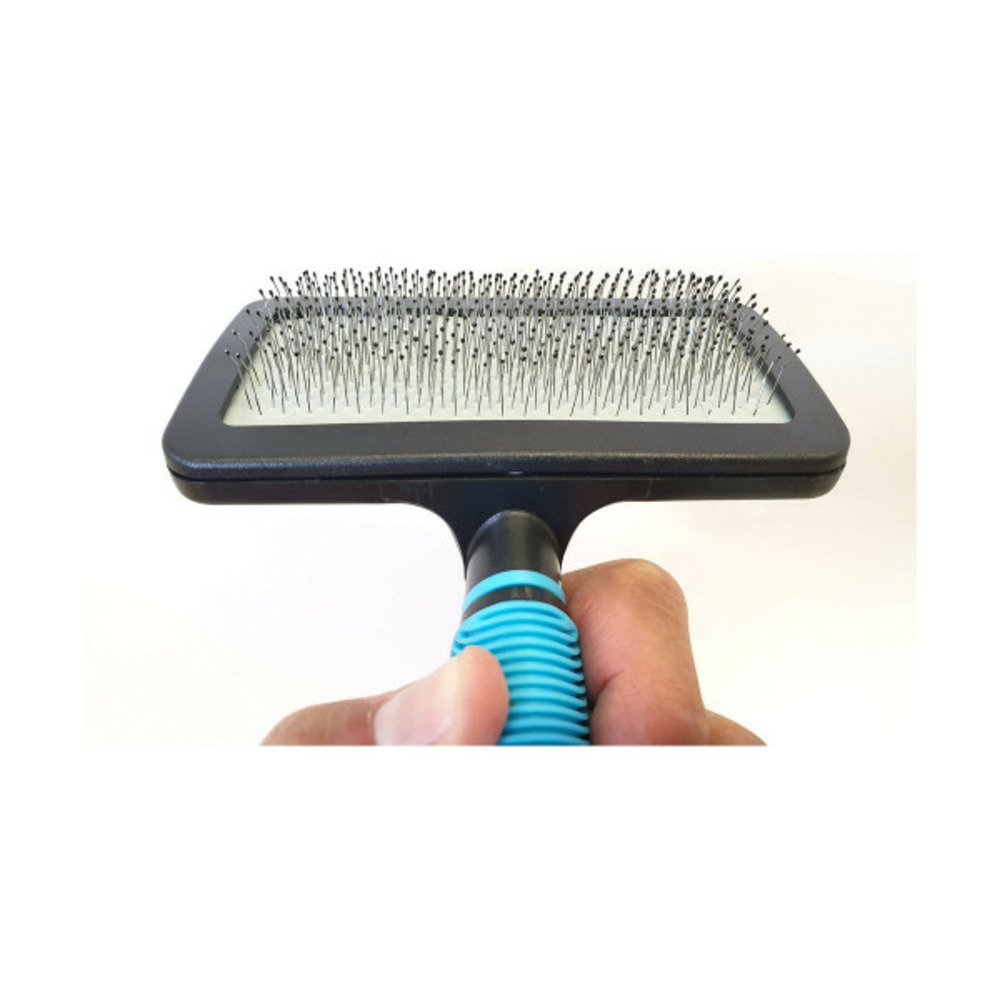 Brosse pour chiens bleu