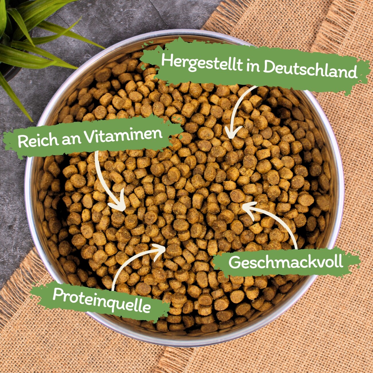 Lyra Pet Lecker.Pet Leo's Adult Geflügel & Forelle Katzenfutter Trockenfutter Vollnahrung 2,5 kg