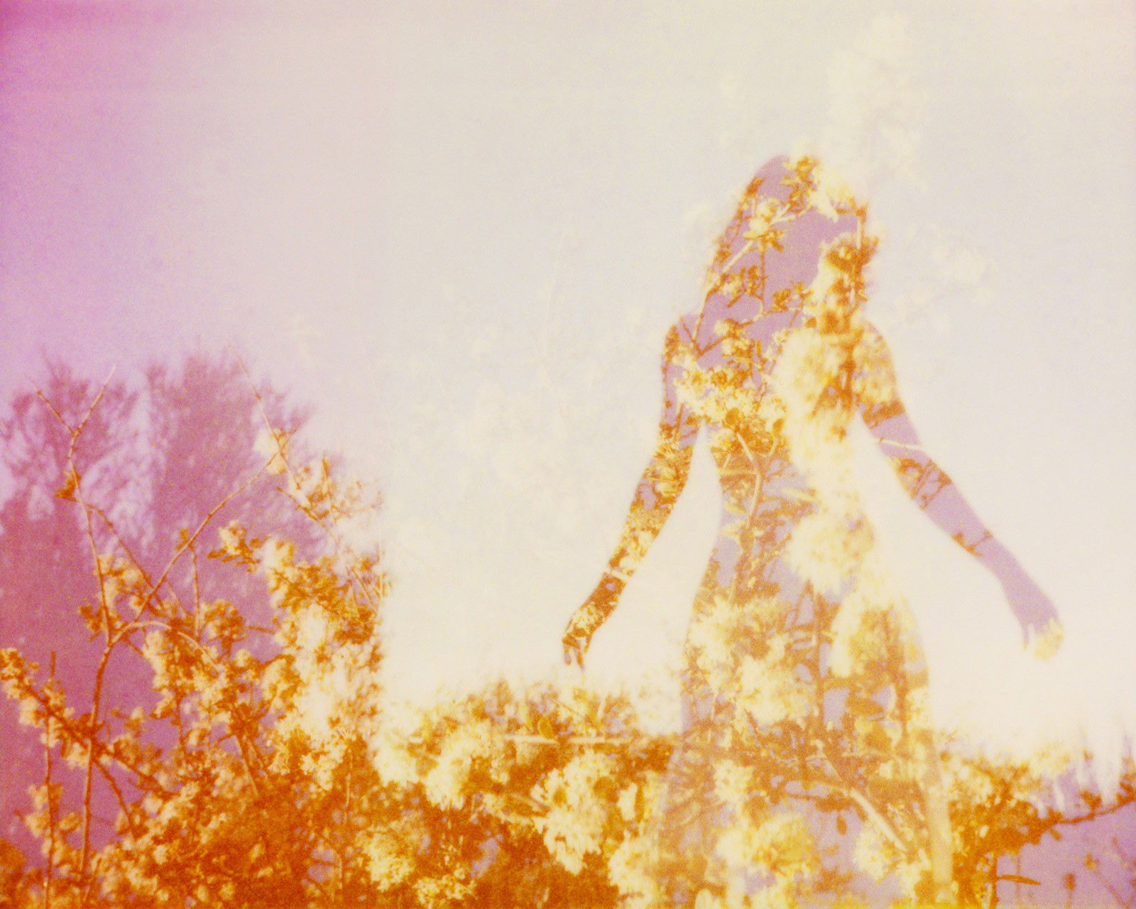 Illuminated IV by Clay Lipsky - Limited Edition. Edition of: 100. Signed.