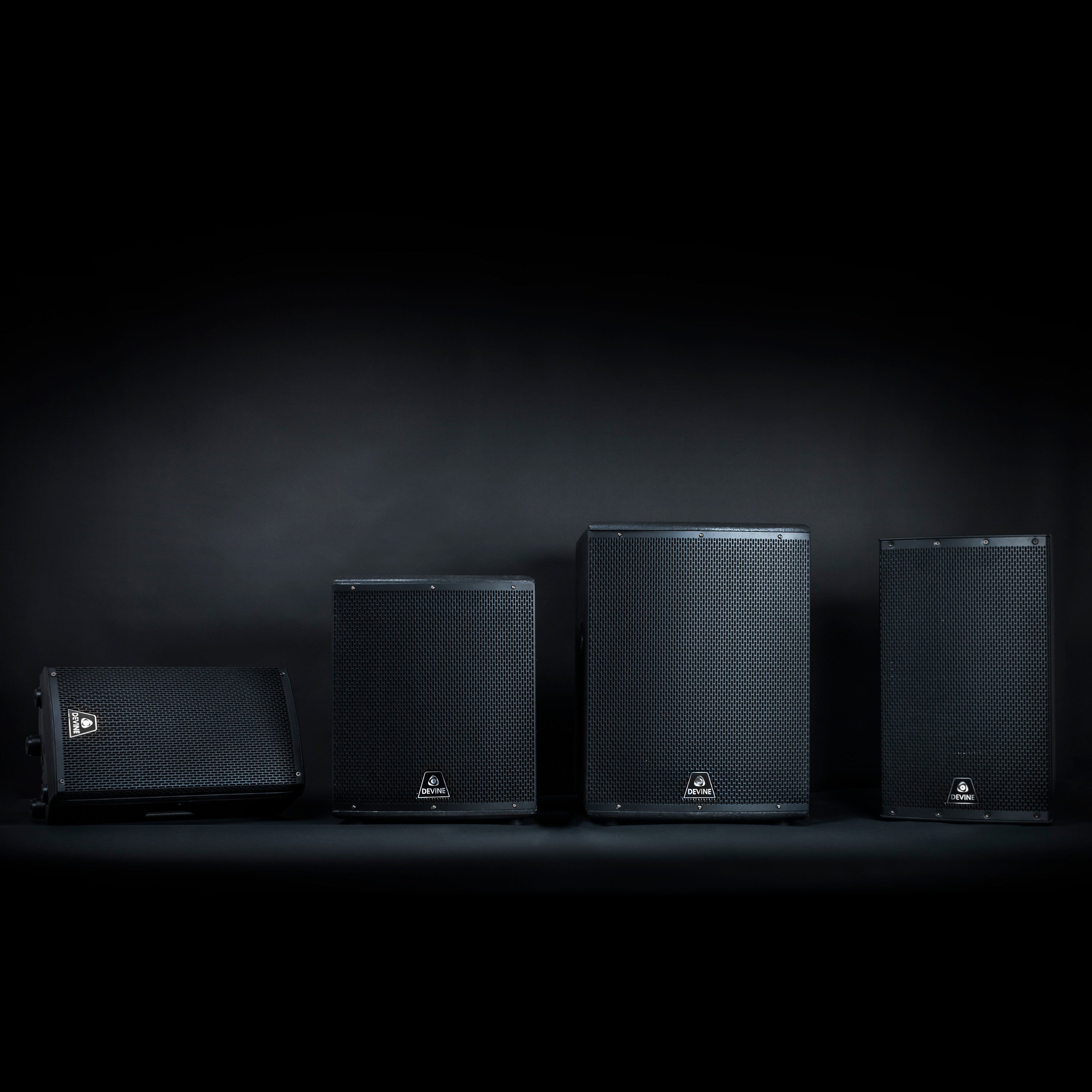 Devine Onyx 12 passieve 12 inch speaker