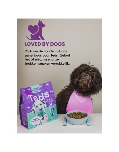 Teds Puppy & Growing Insect Hypoallergeen Insecten - Hondenvoer