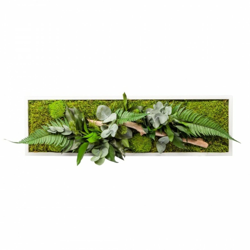 Stab nature - cadre blanc - panoramic 20x70