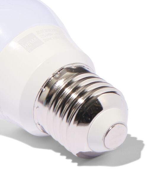 2 ampoules sphérique led smd E27 2,9W 250lm