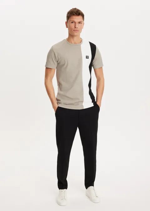 T-shirt met streep grijs (GRS.L)