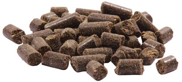 Ensemble d'appâts Ultimate Baits Carp Winter Pack