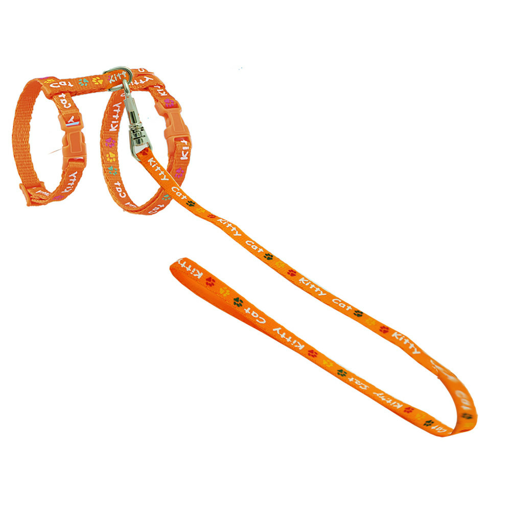 Harnais avec laisse 1.20m. Kitty cat orange. Pour chaton.