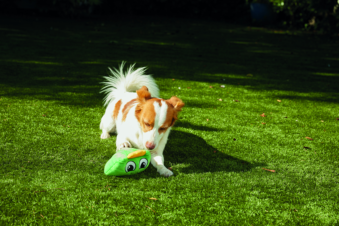 Chuckle Chums Hunde Spielzeug Interaktives Kau Plüschtier mit Geräuschen / Bewegungen Batteriebetrieben (VJUVACIND0012) - Assortiert