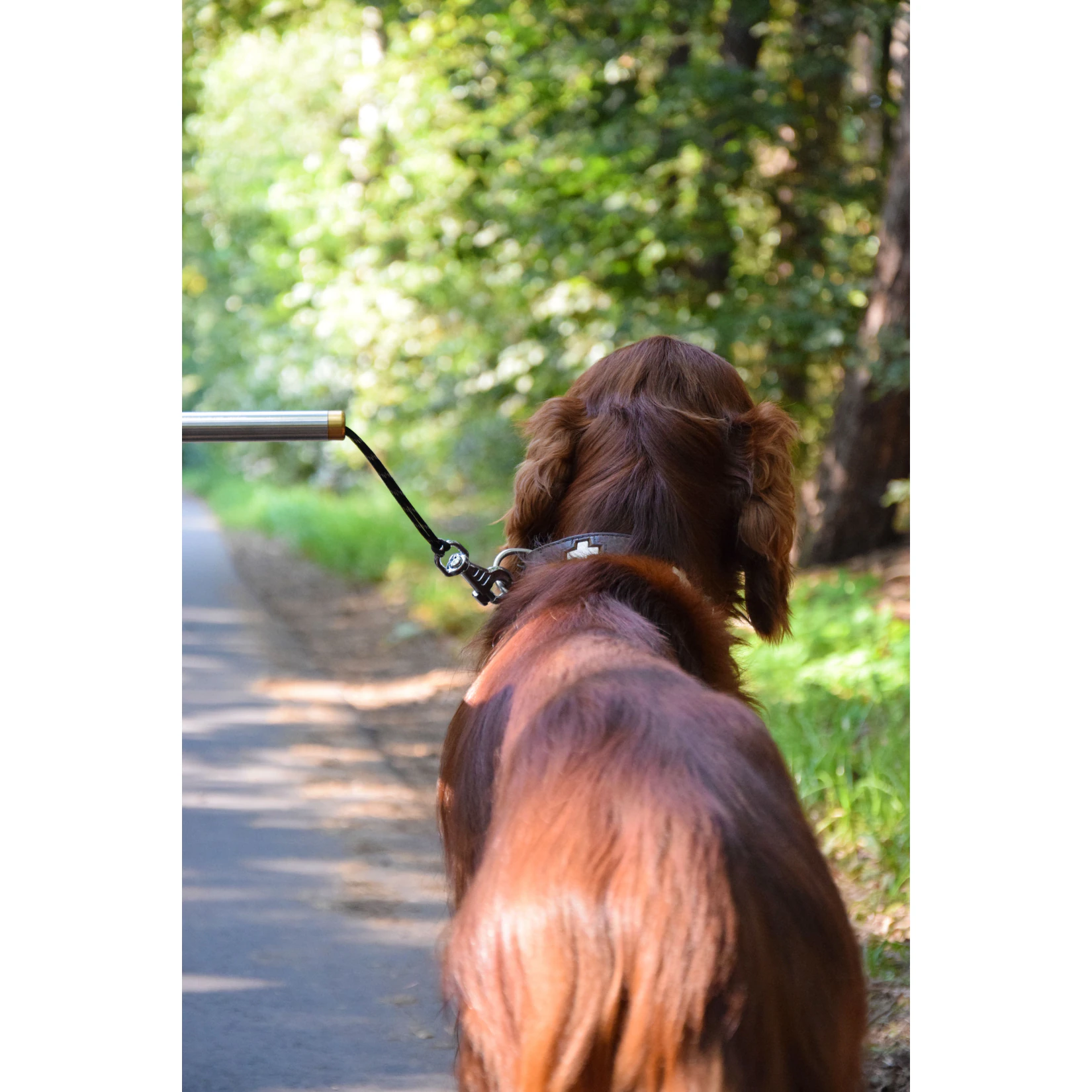 Dobar Walky Dog Plus Fahrradleine
