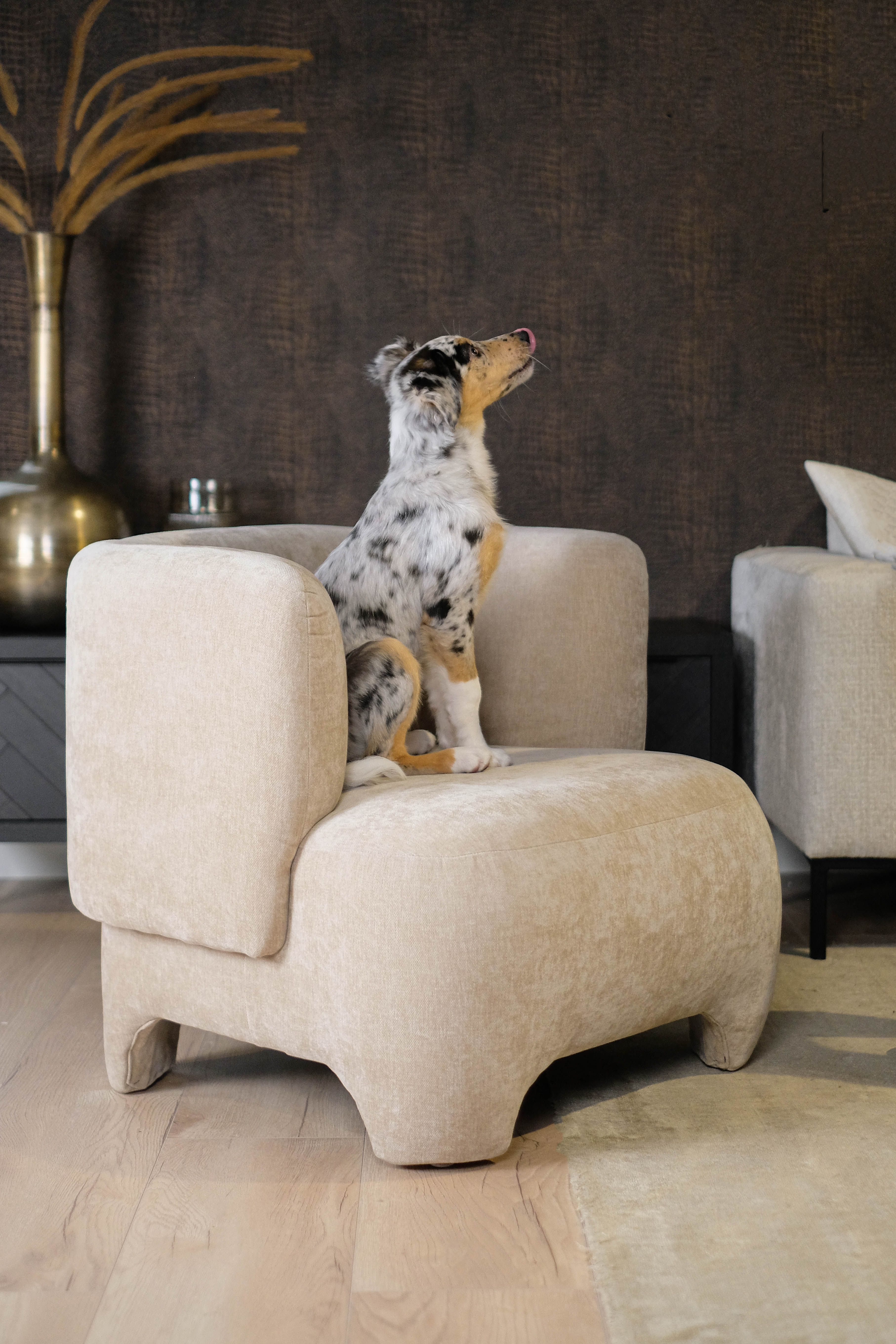 Fauteuil Sand 703913 Damin B81 x D78 x H71 cm